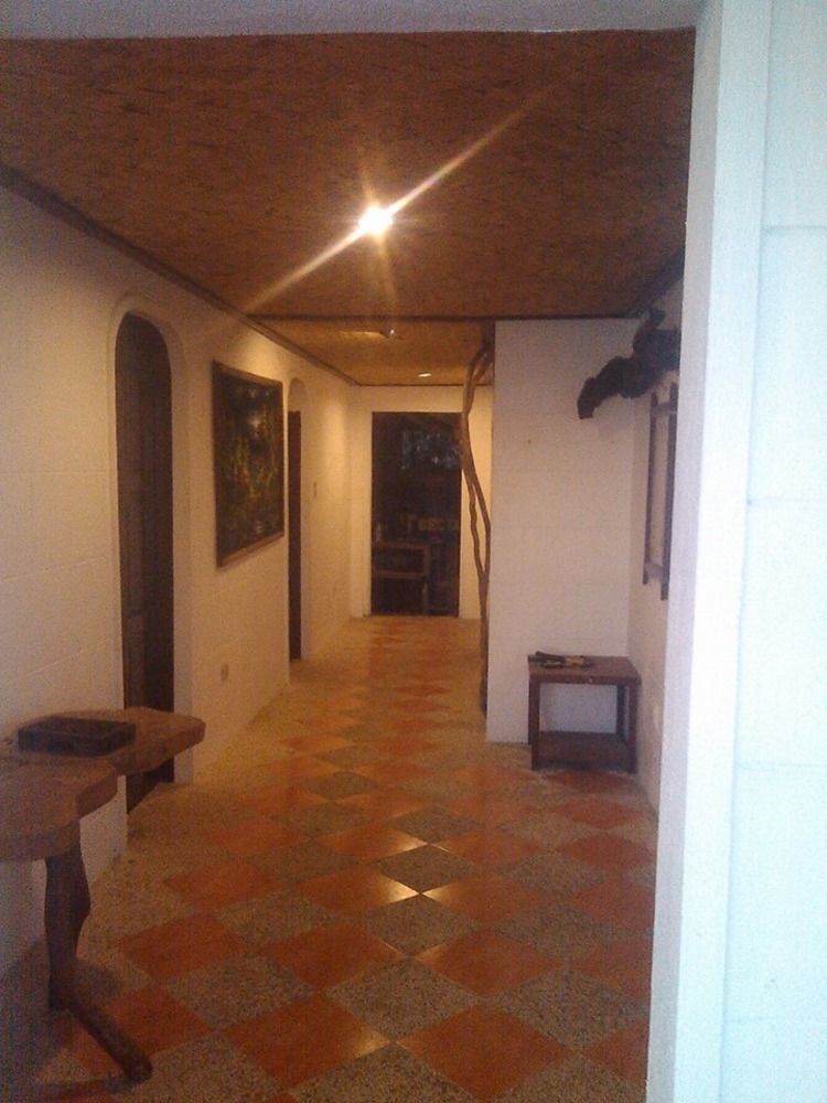 בוסואנגה Pierhouse Lodging מראה חיצוני תמונה
