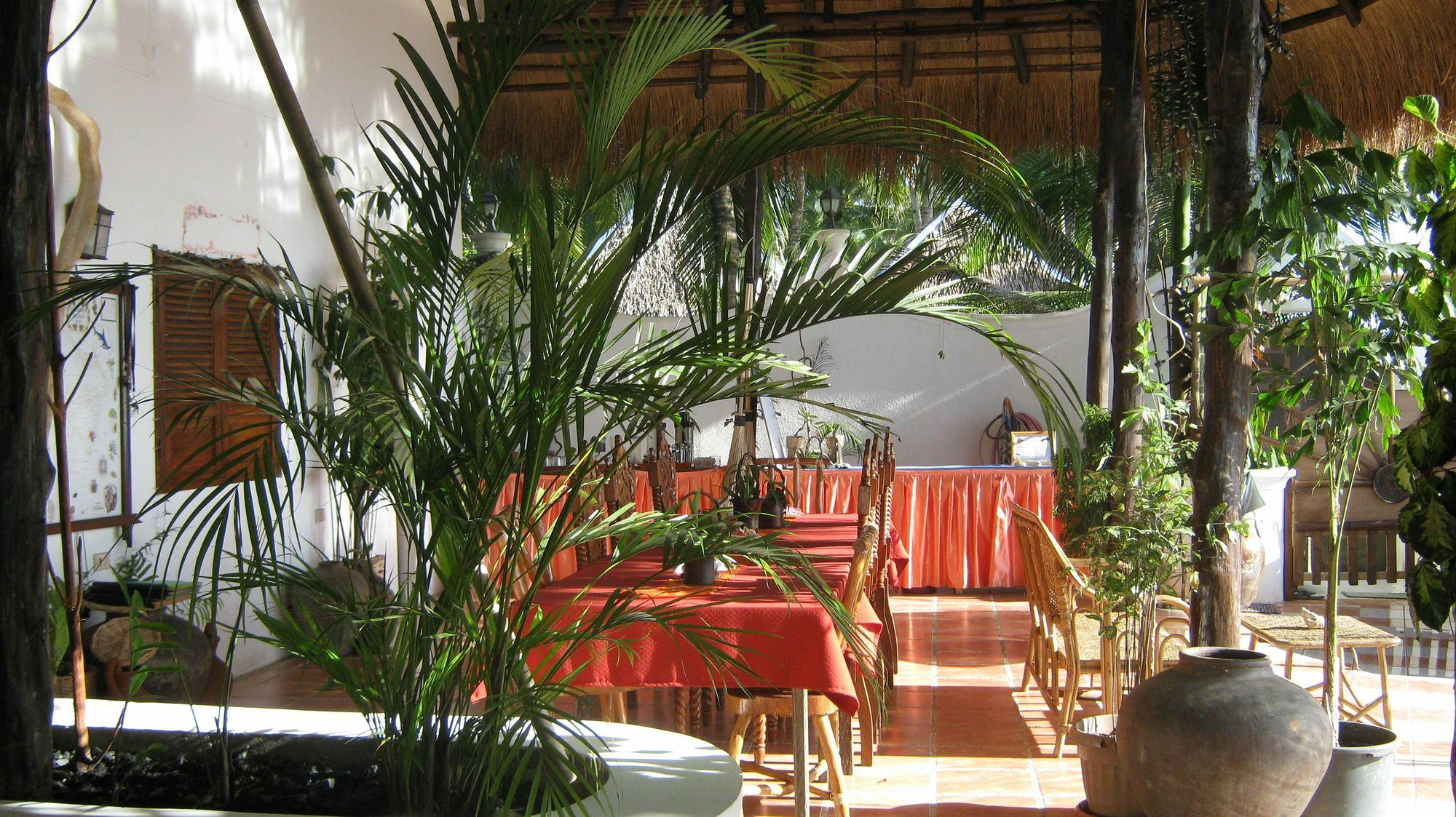 בוסואנגה Pierhouse Lodging מראה חיצוני תמונה